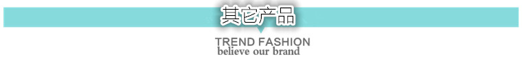 其它产品