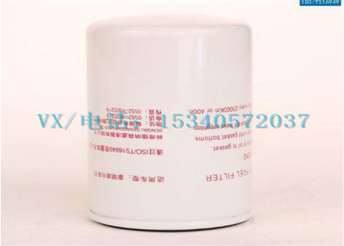 4099934弗列加油格-1