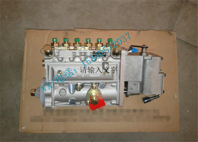 4901106电动燃油泵-2