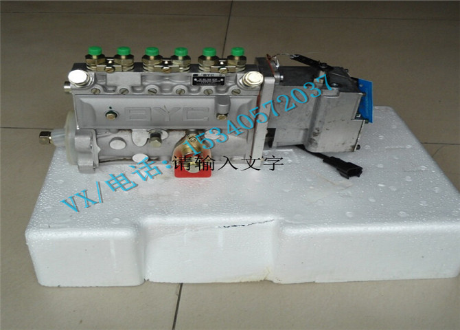 4095430电动燃油泵-3