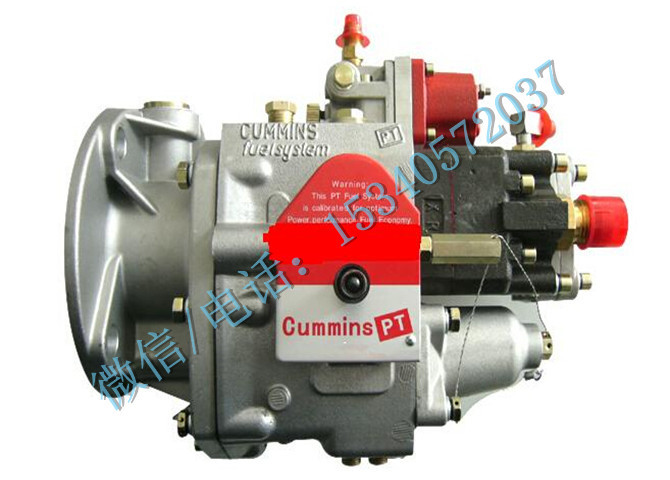 4901132电子燃油泵-1