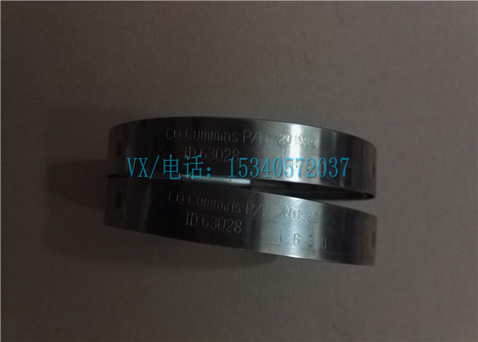 3175584箍带-2