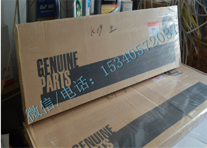 4914613缸体增补修理包-1