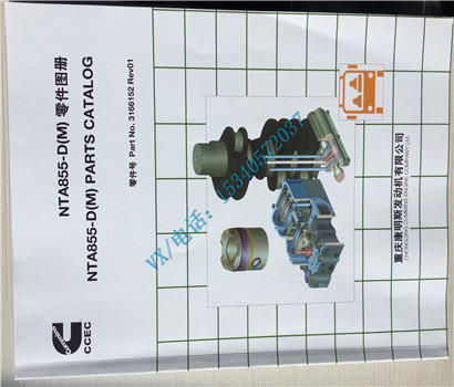 供应康明斯发动机4915149-20KT(A)38-应急泵机图册