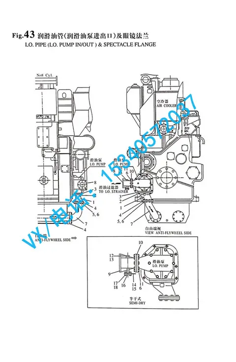 23887-250002螺塞适用于广州洋马YANMAR发动机8N330原厂配件